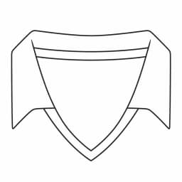 Hockey collar type