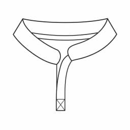 Sports 005 collar type