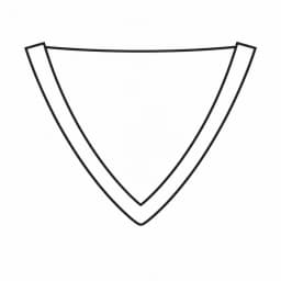 V Neck collar type