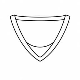 V Neck Sports Collar collar type